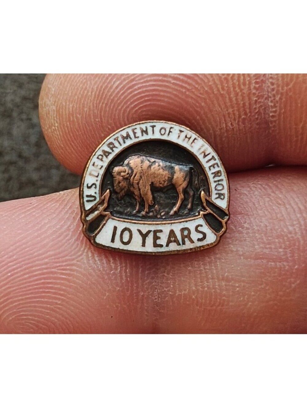 1960s/70s U.S. Department of The Interior 10-Year Service Pin